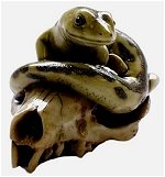 Lizard on Skull